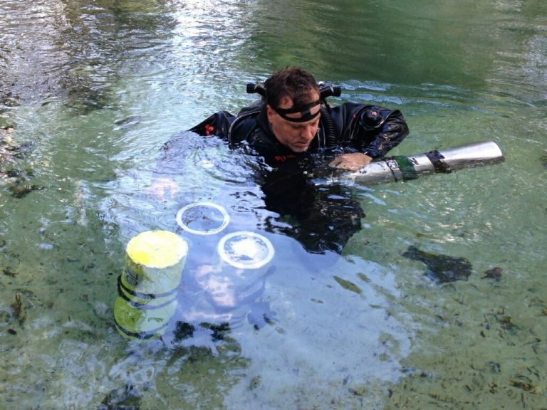 Dive Sites Dive Gainesville